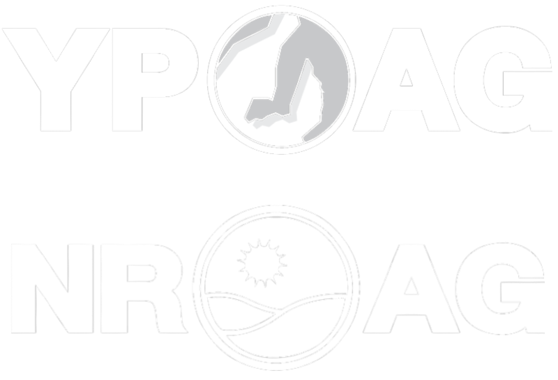 YP AG logo
